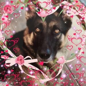 Meet your Posher, Annemarie